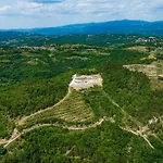 Bella Draguc