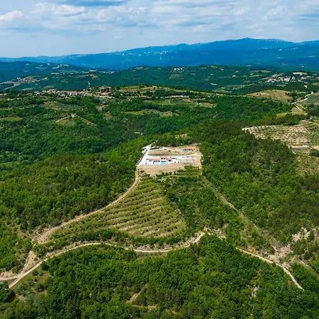 Bella Draguc